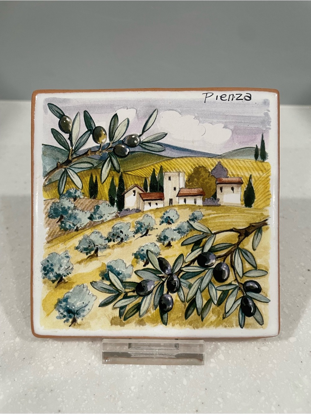 Hand Painted Pienza Italy Ceramic Wall Tile Plaque Made in Italy